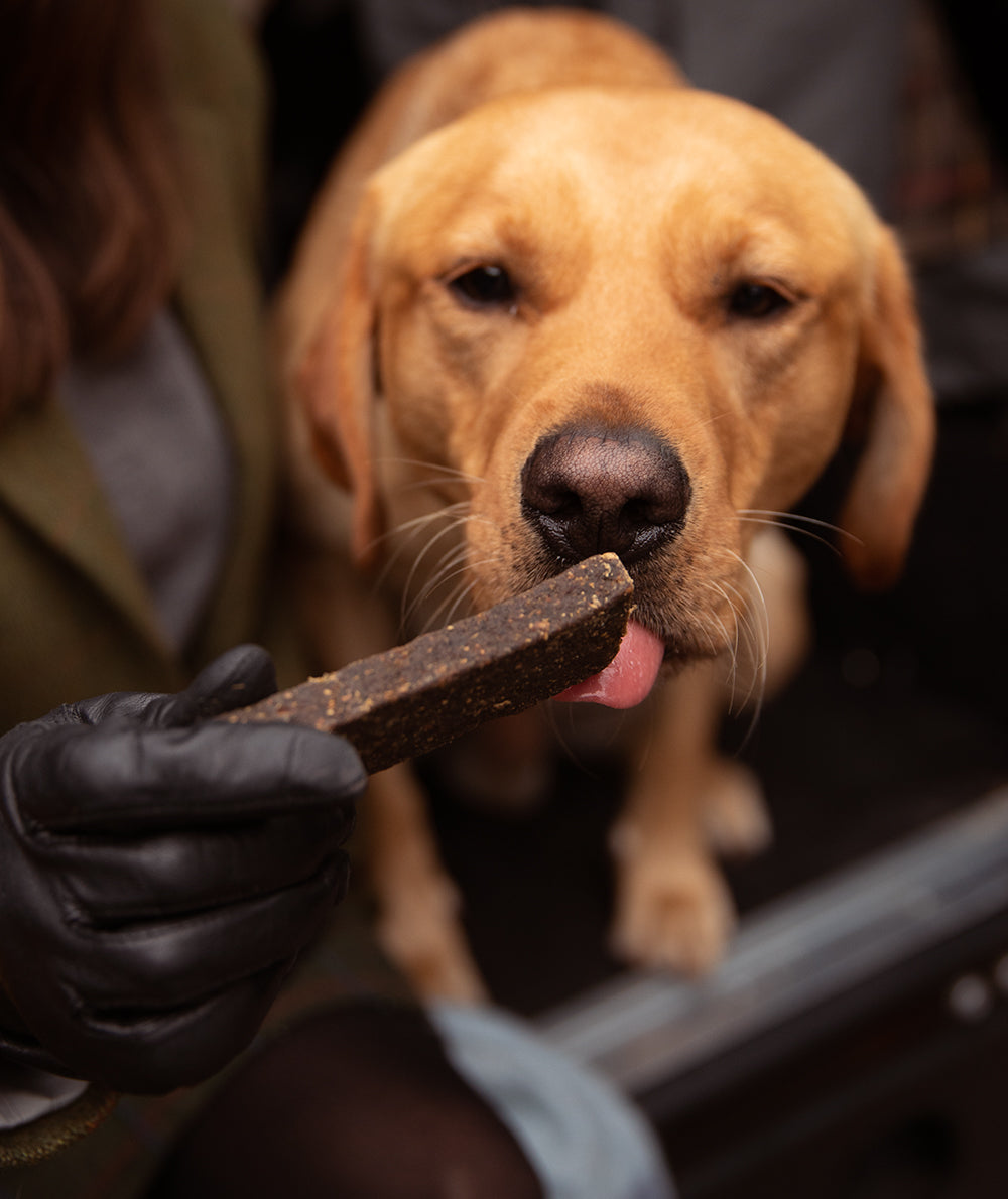 Essential Foods Finest Lamb and Venison Bar