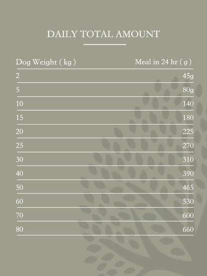 Essential Foods Contour (Body Shape Improving Formula)