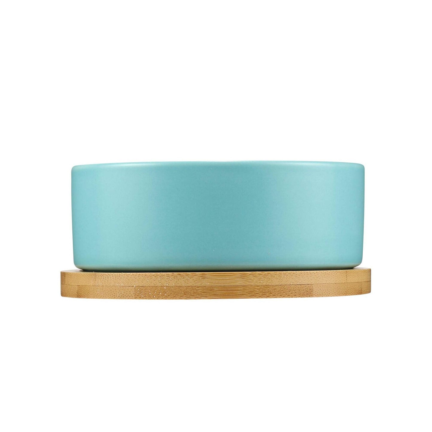 Roop Ceramic Feeding Bowl (Tiffany Blue)